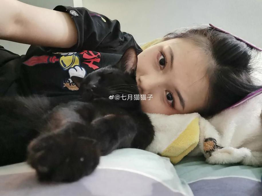 夏日美妆佳作，七月喵子挡腿壁纸代表完美