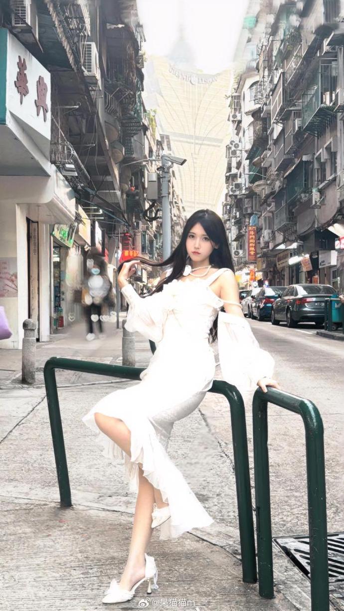 回归传统美学：不呆猫和服照片选集