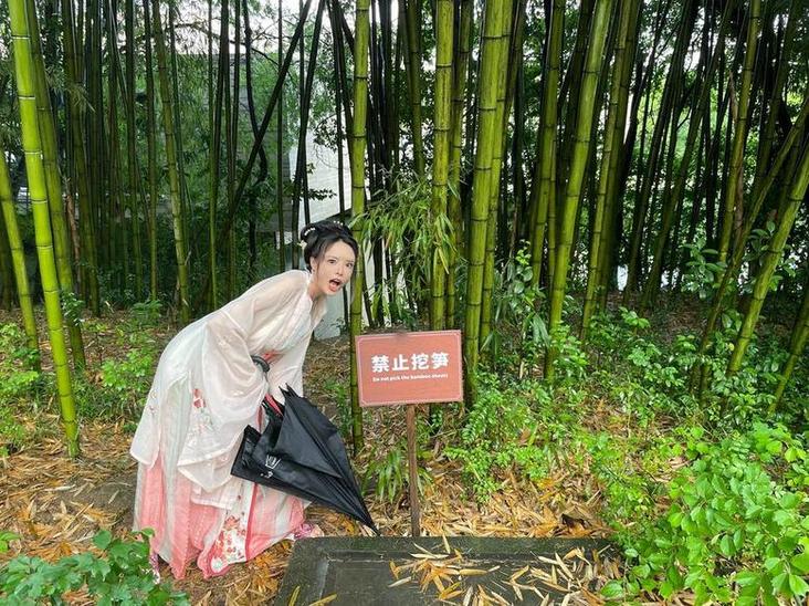赏析界最抢手的秋和柯基cos图集免费观看，你准备好了吗？